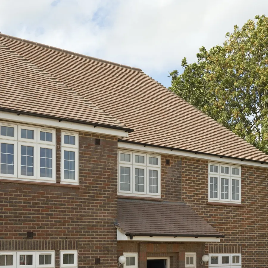 Orangery Leytonstone